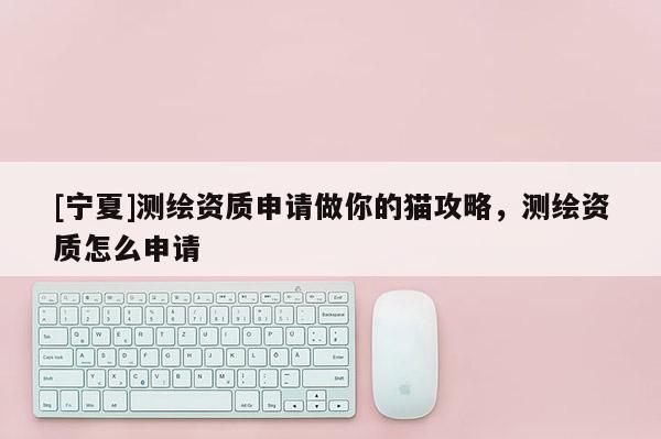 [寧夏]測繪資質(zhì)申請做你的貓攻略，測繪資質(zhì)怎么申請