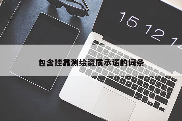 包含掛靠測(cè)繪資質(zhì)承諾的詞條