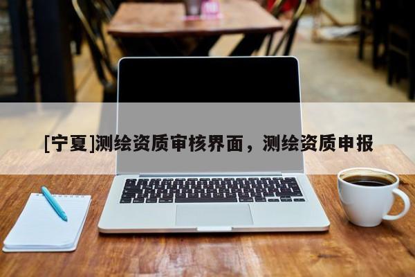 [寧夏]測繪資質審核界面，測繪資質申報